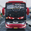 Bus Mata Strobo