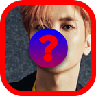 Kpop quiz-Guess the idol ícone