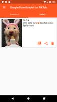 Simple Downloader for TikTok screenshot 1
