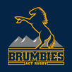 ACT Brumbies Rugby APK