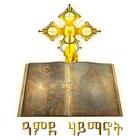 Amde Haymanot Orthodox Teachin ikon