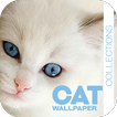 Cat Wallpaper Collections icon