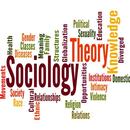 BA Sociology(Complete Notes)2019 APK