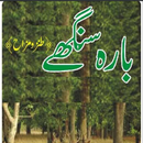 Bara Singhe By Ata ul Haq Qasmi (Complete Novel) APK
