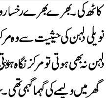 Pahaily Urdu Novel capture d'écran 2