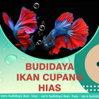 Budidaya Ikan Cupang Hias icône