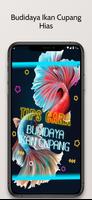 Budidaya Ikan Cupang Hias Cartaz