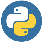 Python. How to start programmi icon
