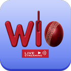 Willow Cricket Live Streaming icono