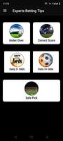 Expert Betting Tips ポスター