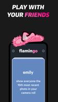 flamingo capture d'écran 2