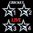 Star Sports Live HD Cricket - Streaming Guide icône