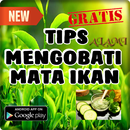 Tips Alami Menyembuhkan Penyakit Mata Ikan-APK