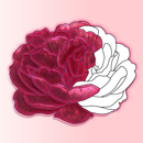 Flowers Adult Coloring Book APK