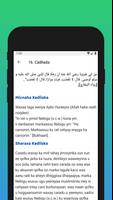 Arbaciin screenshot 2