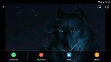 Fantasy Wolf Wallpaper Screenshot 3