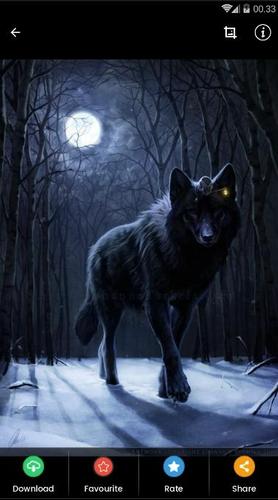 Fantasy Wolf Wallpaper Apk 9 0 4 Fur Android Herunterladen Die Neueste Verion Von Fantasy Wolf Wallpaper Apk Herunterladen Apkfab Com