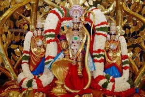Tirupati Balaji Chalisa,Aarti تصوير الشاشة 2