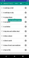 English idioms and phrases تصوير الشاشة 2