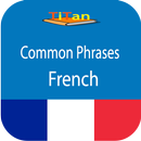 daily French phrases-APK