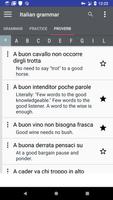 Italian grammar captura de pantalla 2