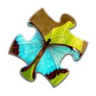 Butterfly Jigsaw Puzzle 아이콘