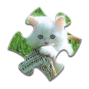 APK Jigsaw Puzzle Cats