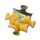 APK Puzzle - orizzontale