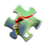 آیکون‌ Dragonfly Jigsaw Puzzles
