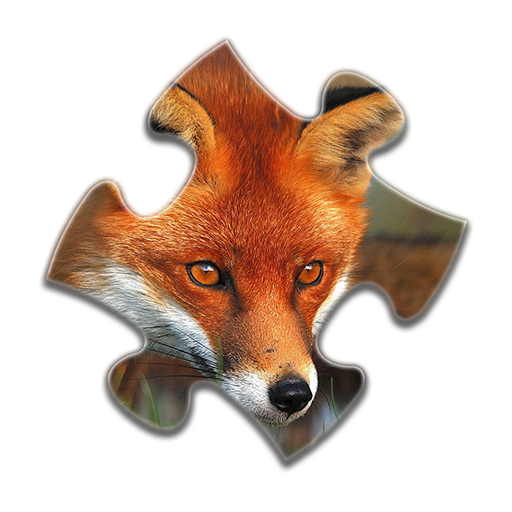 Fox Jigsaw Puzzles