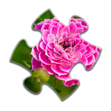 花のジグソーパズル