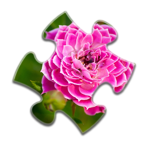 Blumen-Puzzles