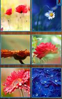 برنامه‌نما Flower Jigsaw Puzzles عکس از صفحه