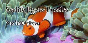 Sea Life Jigsaw Puzzles
