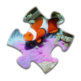 Sea Life Jigsaw Puzzles-icoon