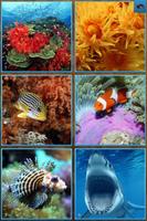 Sea Life Jigsaw Puzzles पोस्टर