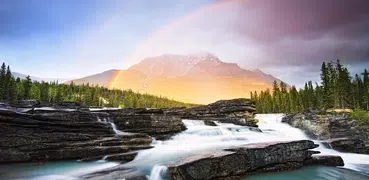 Rompecabezas del arco iris