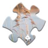 ”Reeds Jigsaw Puzzles