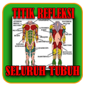 Titik Pijat Refleksi Pemula