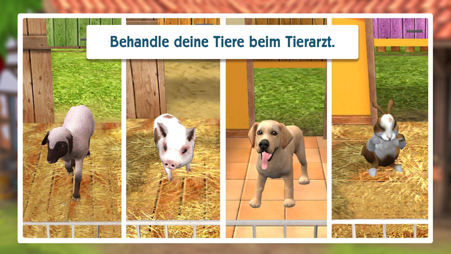 Tierheim Spiele Kostenlos Tierheim Spiele Kostenlos