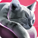 CatHotel - play with cute cats APK