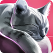 CatHotel - play with cute cats