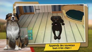 Dog Hotel Premium capture d'écran 1