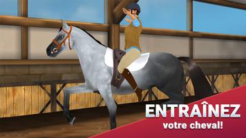 Horse Hotel - Soin des chevaux Affiche