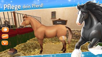 Horse World - Mein Reitpferd Plakat