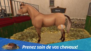 Horse World - Mon cheval Affiche