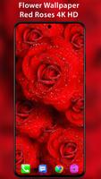 Screen wallpapers & Background постер