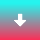 Downloader For TikTok APK