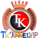 TK TUNNEL VIP VPN APK