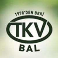 TKV Bal poster